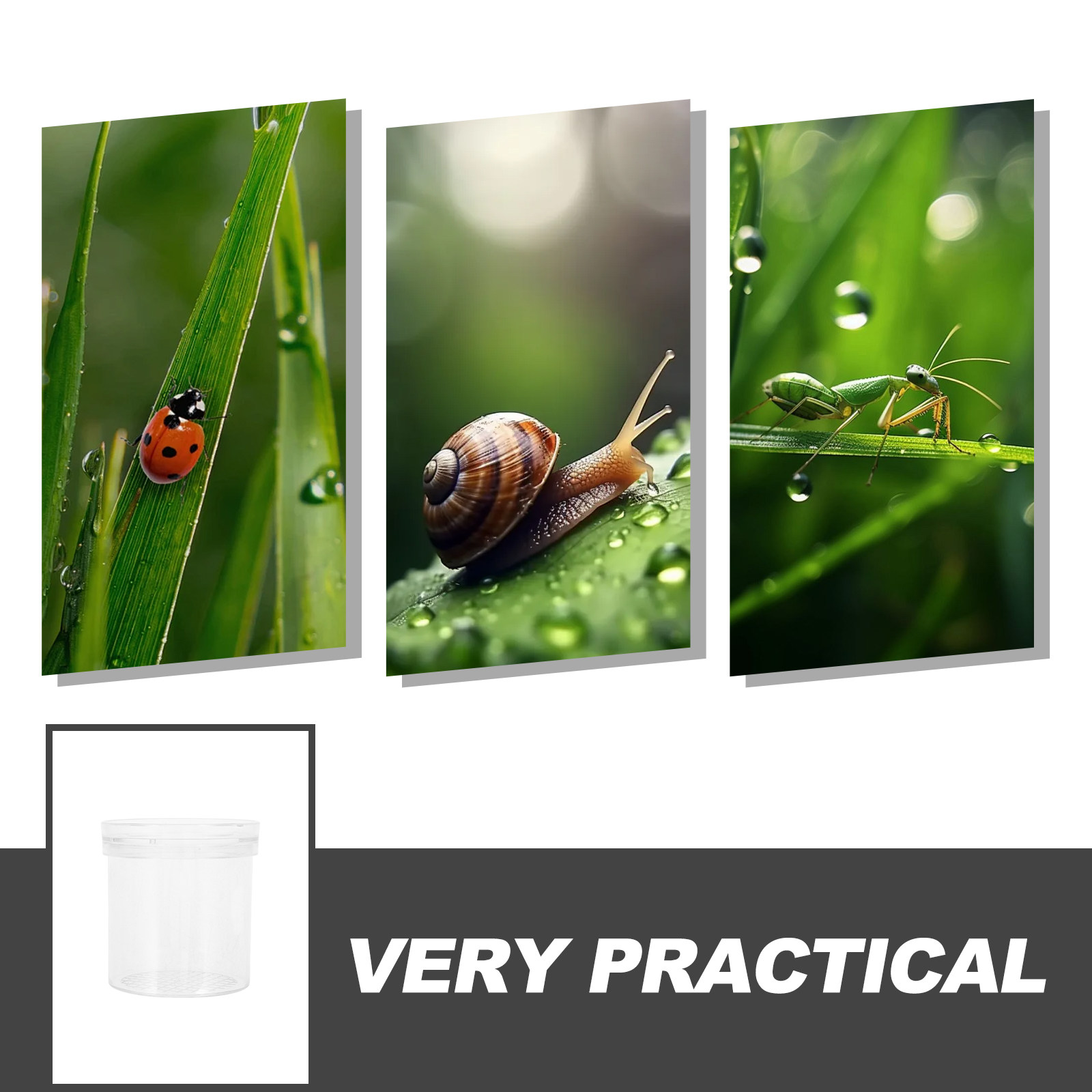 3X vergrotende insectenobserva - Kids Educational Box recensie en prijs