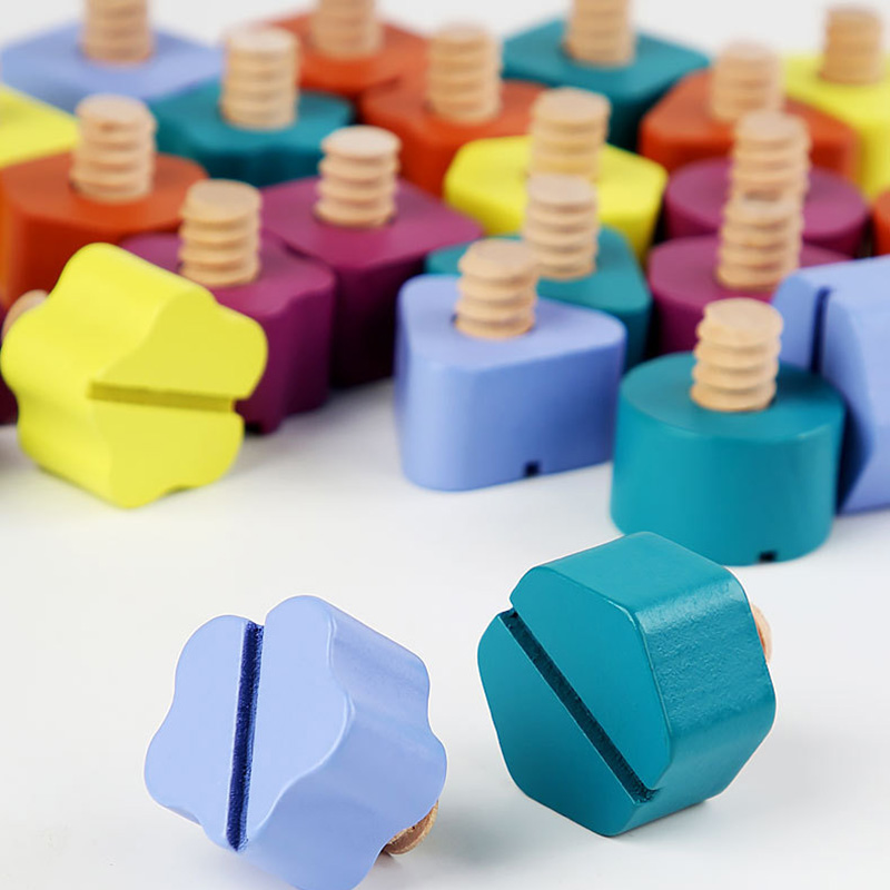 Kinderen Houten Schroef Moer D - Montessori Shelf Toy recensie en prijs