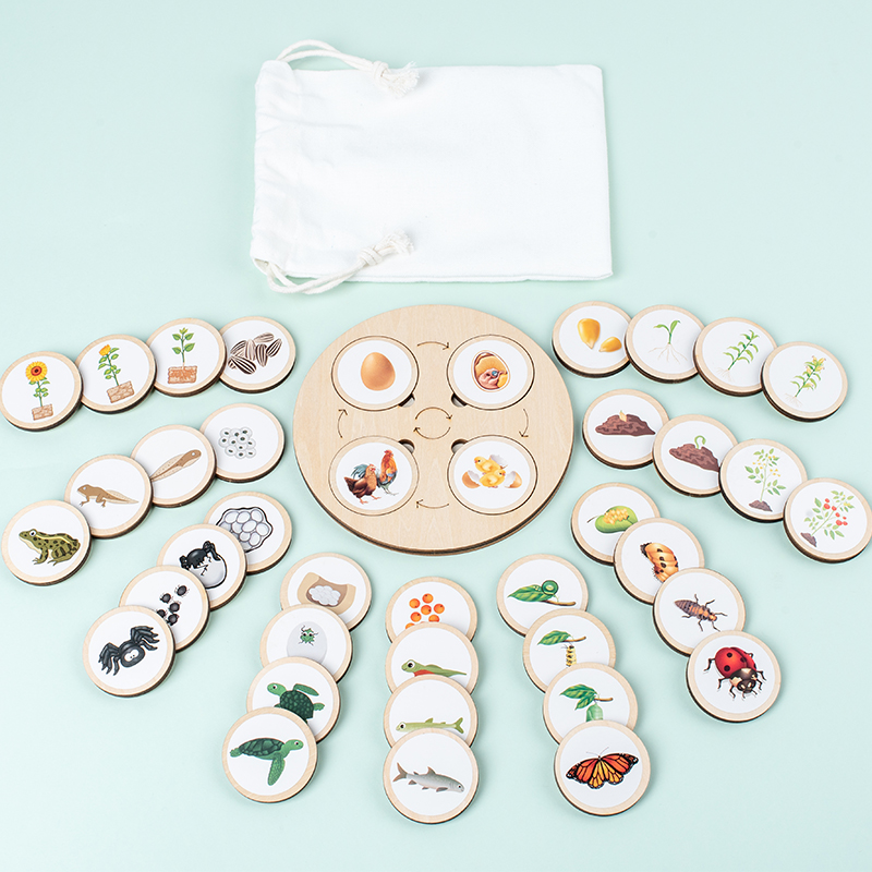 Levenscyclusbord Montessori Ki - Montessori Shelf Toy recensie en prijs