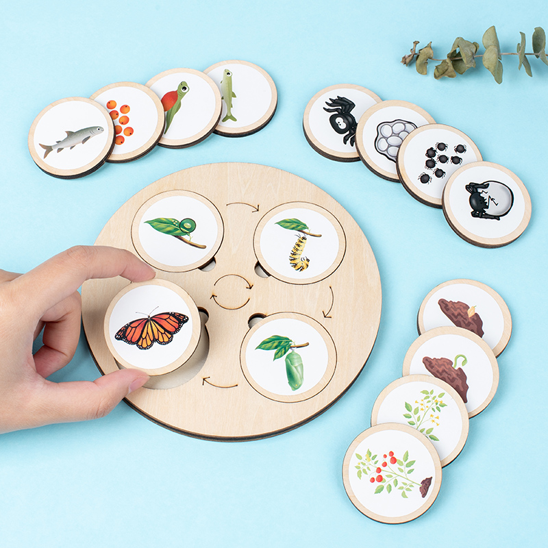 Levenscyclusbord Montessori Ki - Montessori Shelf Toy recensie en prijs