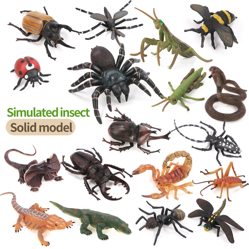 Educatieve simulatie insecten- - Kids Educational Box recensie en prijs